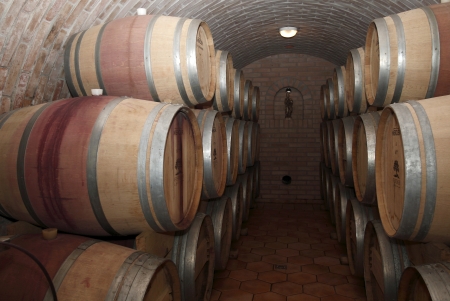 Rows of wine barrels in Moravian wine cellar のeditorial素材
