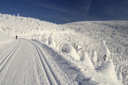 Cross Country Ski Track in Jeseniky mountains, Czech Republic の写真素材