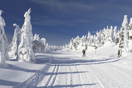 Cross Country Ski Trail in Jeseniky mountains, Czech Republic の写真素材