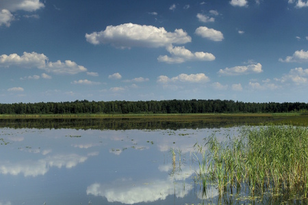 Blue sky and white clouds reflecting on the surface of a pond during a sunny summer day near Druskininkai, Lithuania.の写真素材