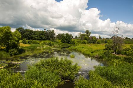 River landscape in summerの写真素材