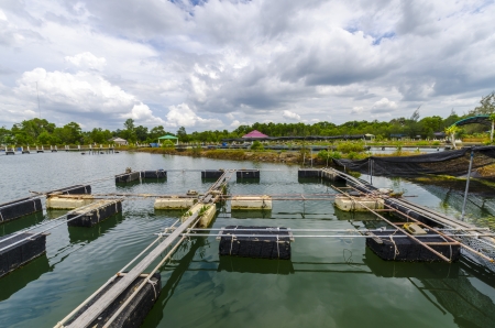 Fish farm in the province of Krabi Thailandのeditorial素材