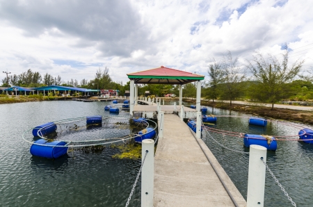 Fish farm in the province of Krabi Thailandのeditorial素材
