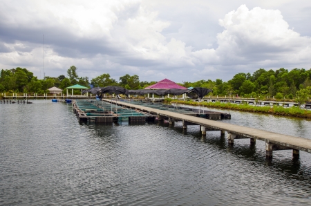 Fish farm in the province of Krabi Thailandの写真素材