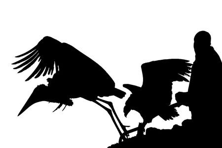 Silhouette of a bird trainer and his pupils.の写真素材