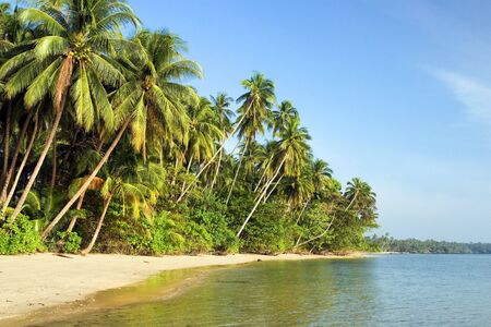 Tropical beach scene without crowds.