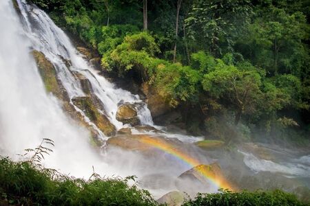 Jungle, rainbow over the waterfall.の写真素材