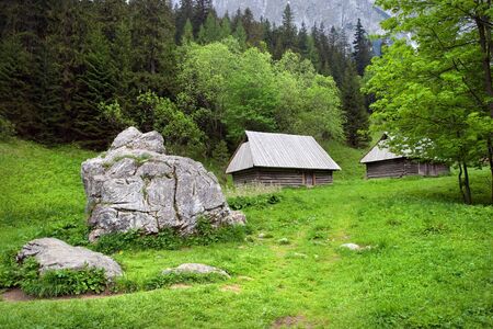 Strazynska valley in the Tatra Mountains, Poland.の写真素材