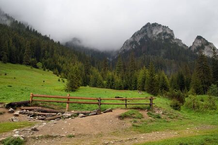 Beautiful Tatra mountains scenery in Koscieliska valley, Poland.の写真素材