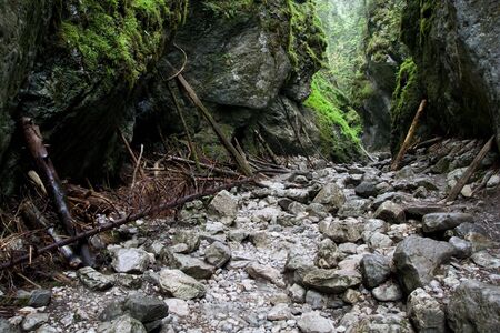 Cracow Gorge near Koscieliska Valley in Tatra Mountains, Poland.の写真素材
