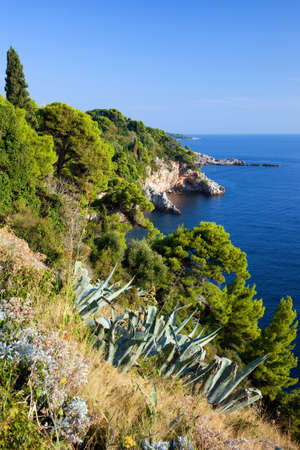 Adriatic Sea coastline in South Croatia, near Dubrovnikの写真素材