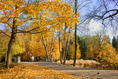 Autumn scenery of the Lazienki Royal Park in Warsaw, Polandの写真素材