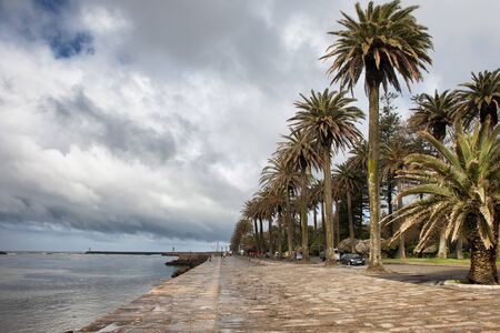 Promenade with palm trees at the mouth of river Douro in Foz district of Oporto in Portugal.の写真素材