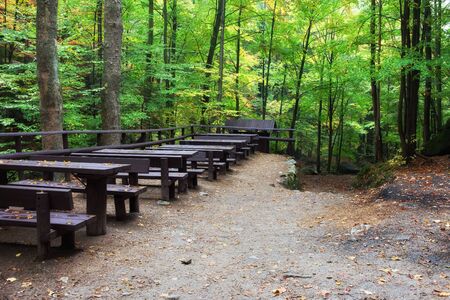 Tables with benches in forest, picnic and rest place in healthy natural environmentの写真素材