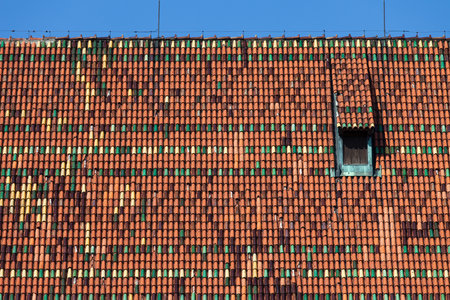 Roof tiles of the High Castle of Malbork in Poland, closeup architectural detailのeditorial素材