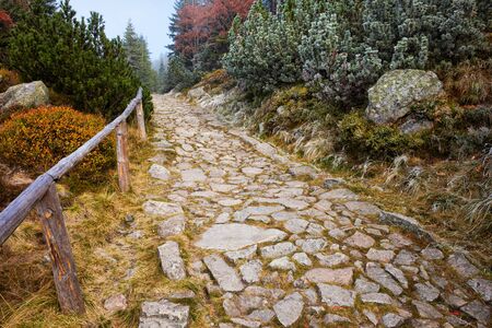 Trail in autumn scenery, stone path with simple wooden balustrade high in the mountains, Poland, Europeの写真素材