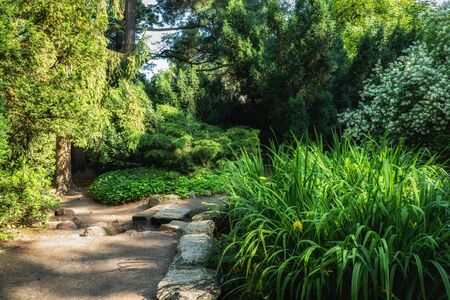 Tranquil scenery in garden of Lazienki Park in Warsaw, Poland.の写真素材