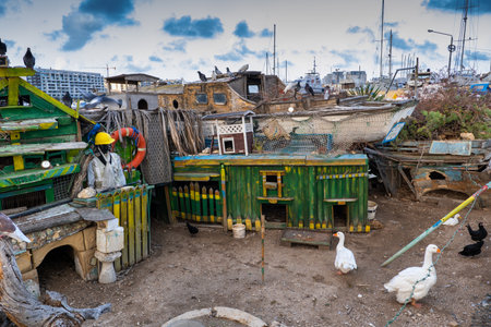 Gzira, Malta - October 11, 2019: Duck Village birds sancturary on Manoel Islandのeditorial素材
