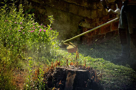 Unidentified public worker mowing the grass and plants in overgrown lawn between old wall and tree...