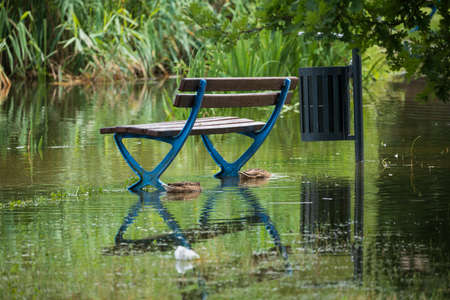 Flooded park bench and trashcan by the pond in spring with two ducks in flood water, natural disaster concept.の写真素材