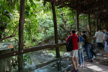 Berlin, Germany - August 3, 2021: People, tourists watching turtles in Aquarium of Berlin Zoological Garden (German: Zoologischer Garten Berlin).のeditorial素材