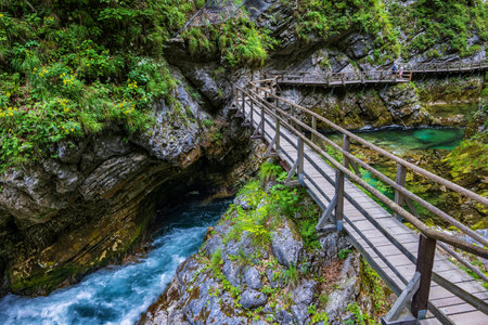 Vintgar Gorge in Slovenia, scenic landscape with mountain river and wooden walkway in Triglav National Park.の写真素材