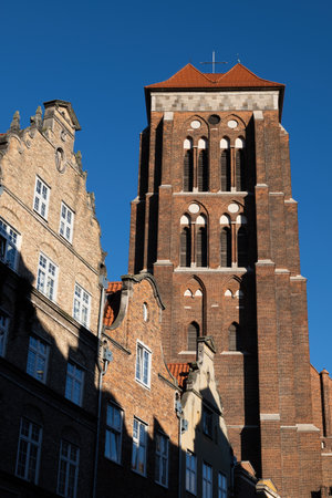 Gothic brick tower of St. Mary Church and historic gabled burgher houses at sunset in the Old Town...