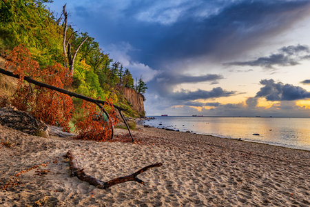 Picturesque autumn landscape of the Baltic Sea coast at sunrise with tree fallen to the beach and view to the Orlowo Cliff in Gdynia, Poland.の写真素材
