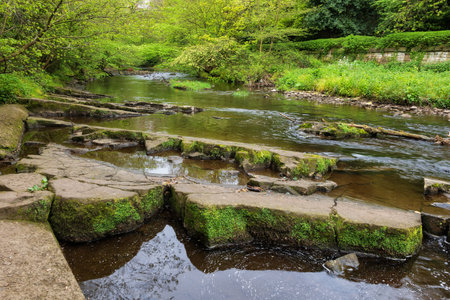 The Water of Leith river flowing through city of Edinburgh in Scotland, UK.の写真素材