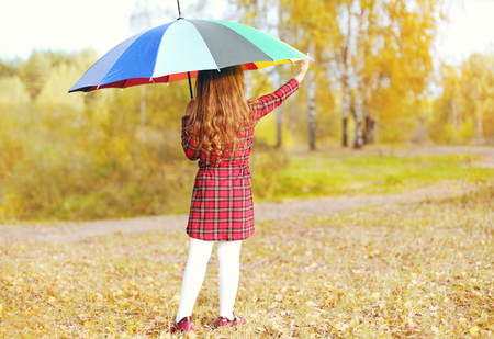 Little girl child with colorful umbrella in autumn day back viewの写真素材