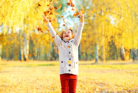 Happy child having fun playing with yellow leafs in sunny autumn dayの写真素材