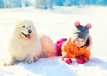 little child and white Samoyed dog lying on snow winterの写真素材