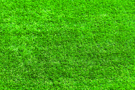 Green grass texture for background, empty copy space, nature abstract photoの写真素材