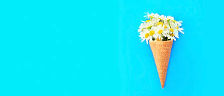 Cone ice cream with flowers on blue background, blank copy space for advertising text
