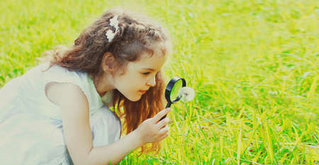 Child looking through a magnifying glass on the grass in summer dayの写真素材
