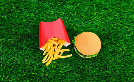 Fast food concept - burger and french fries on the grass background