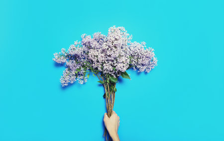 Female hand holding bouquet of spring fresh lilac flowers, wildflowers on blue backgroundの写真素材