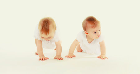 happy cute two twin babies crawling and playing on the floor on white studio backgroundの写真素材