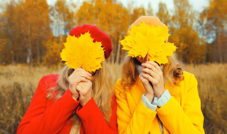 Happy two women friends covering her face with autumn maple yellow leaves, funny girlfriends having...