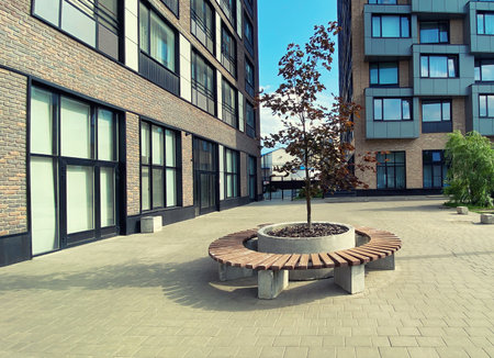 Architecture, modern real estate, residential apartment building, wooden bench with tree seedling, entrance with large panoramic windows and door, urban environment, city improvementの写真素材