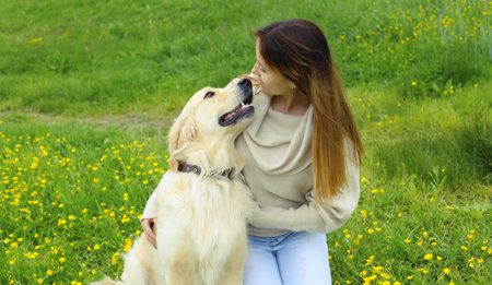 Happy owner young woman with Golden Retriever dog looking at each other sitting on the grass together outdoors during walk in summer parkの写真素材
