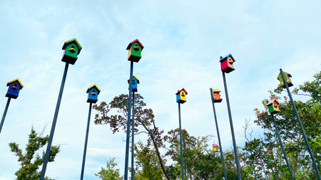 Lots of wooden birdhouses and trees on a sky background in summer park