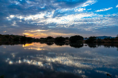 herd of camel and dramatic sky in the background at pushkar camel festival.の写真素材