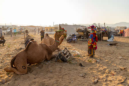 food is making in earthen chulhas at pushkar camel festival.