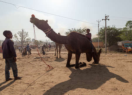 food is making in earthen chulhas at pushkar camel festival.のeditorial素材