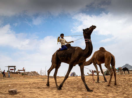 an unidentified rajasthani camel rider enjoyed the camel ride with selective focus on subject and added noise and grains.のeditorial素材