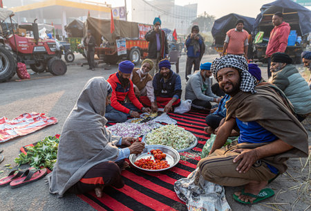 farmers are protesting at delhi border against the new farm law.のeditorial素材