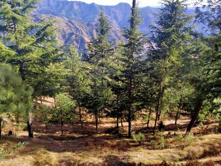 Outdoor view Himalayan region landscape beautiful Himachalの写真素材
