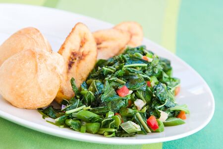 Speciality caribbean dish of callaloo (spinach) served with fried dumplingsの写真素材
