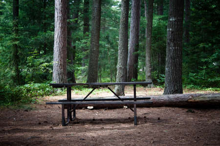 Image of a picnic table in the wilderness at a campsiteの写真素材